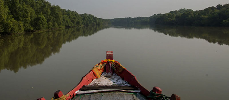 bhitarkanika-national-park-in-odisha