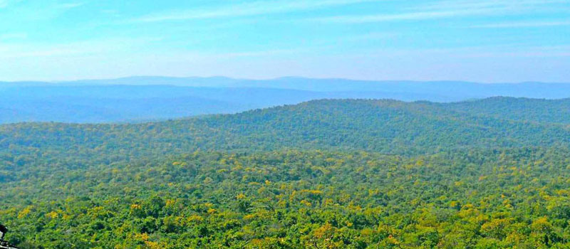 daringbadi-hills-station-at-odisha