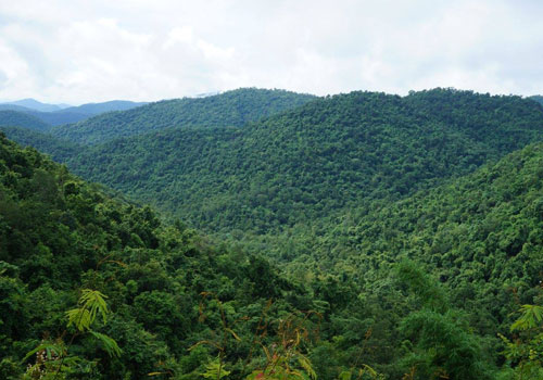 daringbadi-hills-station-at-odisha