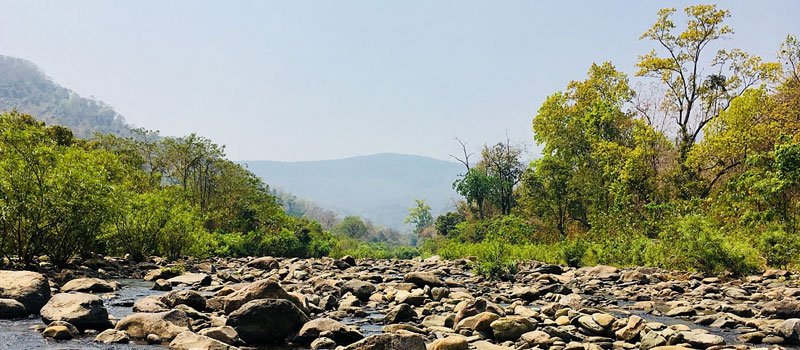 simlipal-national-park-in-odisha
