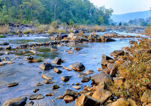 simlipal-wildlife-sanctuary